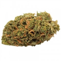 Blue Dream - Fleurs de CBD - Grossiste France