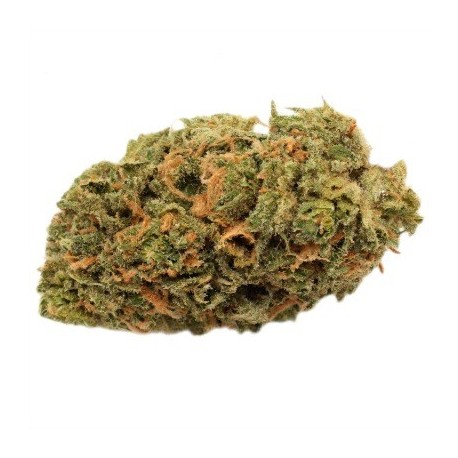 Blue Dream - Fleurs de CBD - Grossiste France